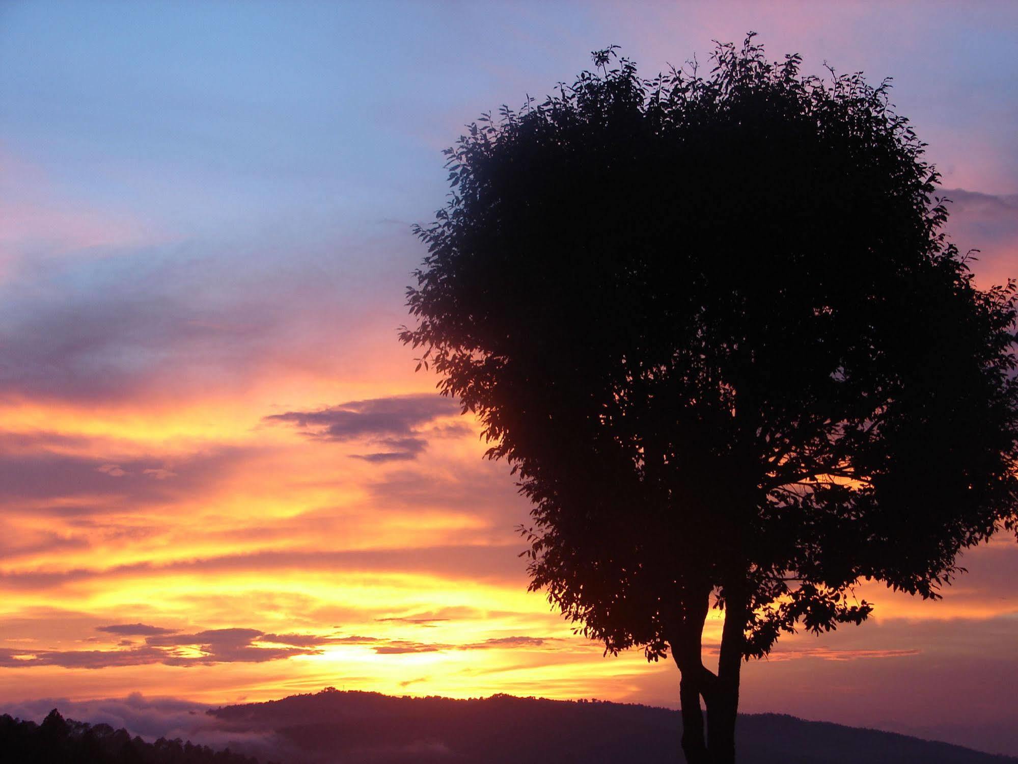 Blusalzz Escapade Anant Rasa Resort - Ranikhet Shitlakhet Zewnętrze zdjęcie
